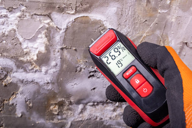 Best Black Mold Removal  in Mentone, IN
