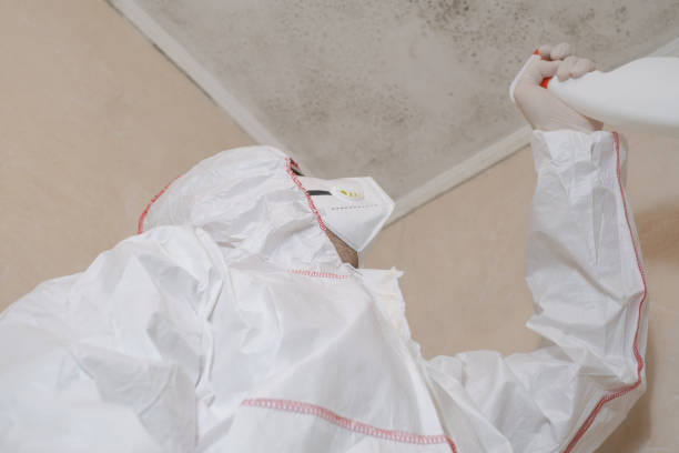 Best Crawl Space Mold Removal  in Mentone, IN